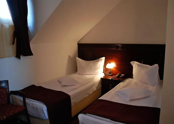 Hanul Domnesc بيت ريفي 3*