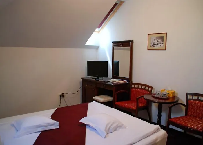 بيت ريفي Hanul Domnesc 3*