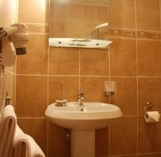 אורחן Hanul Domnesc בראשוב