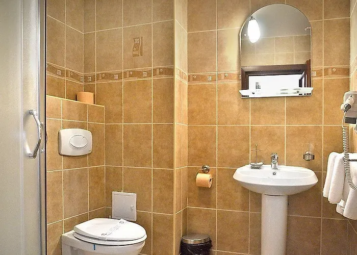 אורחן Hanul Domnesc 3*