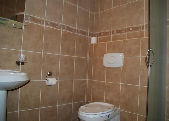 Hanul Domnesc بيت ريفي 3*